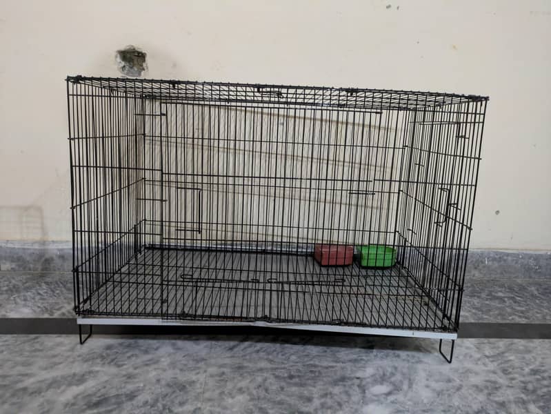 CAGES 2