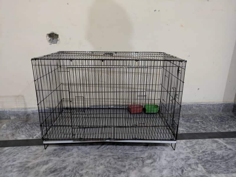 CAGES 3