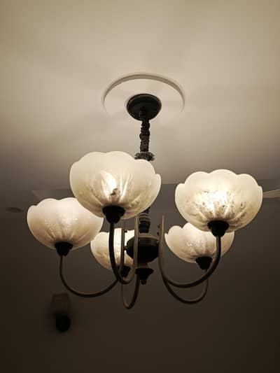 Beautiful chandelier