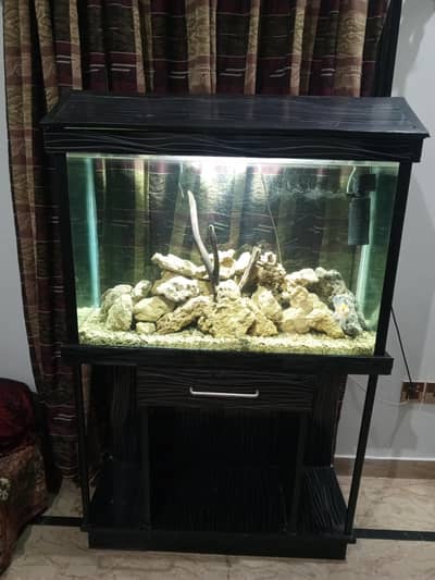 3fit aquarium