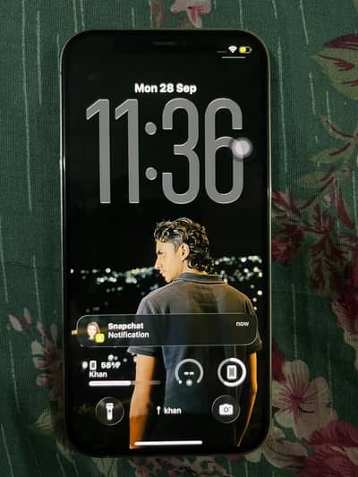 Apple iPhone 12 Pro