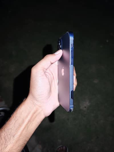 Apple iPhone 12