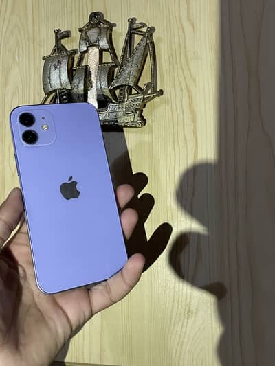 Apple iPhone 12 (factory unlocked)