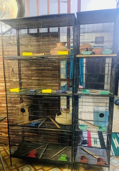 Cage for parrot