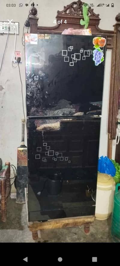 PEL fridge medium size Glass Door