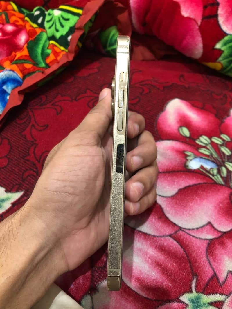 Apple iPhone 14 Pro Max 2