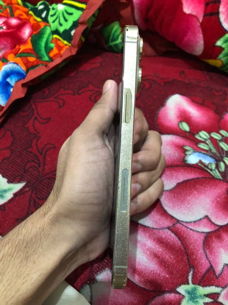Apple iPhone 14 Pro Max 4
