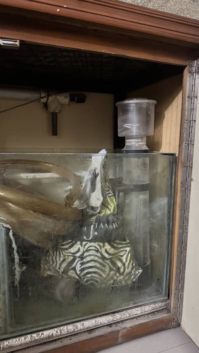 SeaWater Aquarium made with high quality timber
