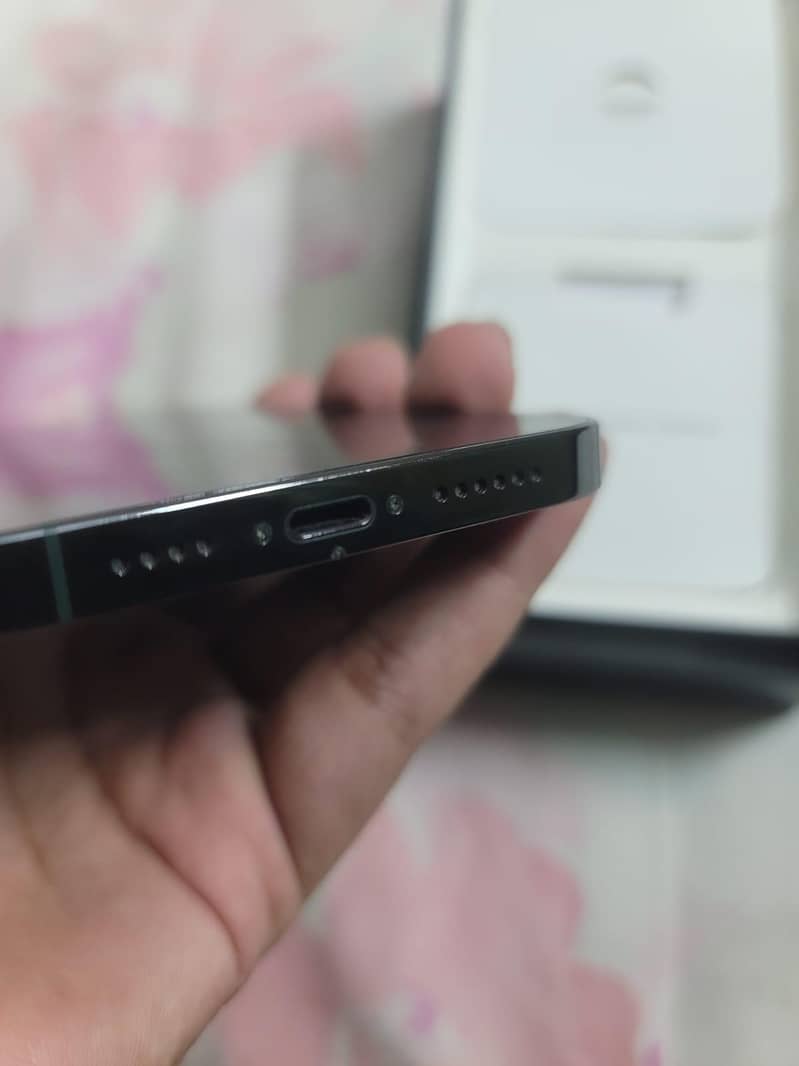Apple iPhone 13 Pro Max 2