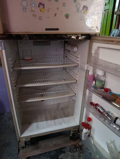 Pel fridge condition best