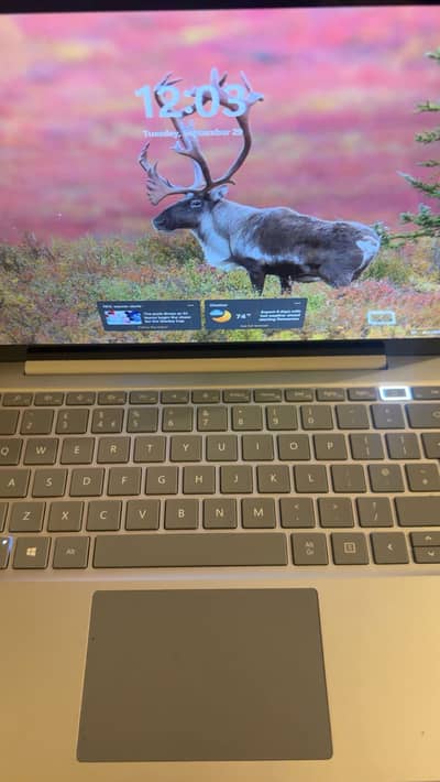 Microsoft Surface Laptop Go (i5 10th Gen | 16GB RAM | Touch)