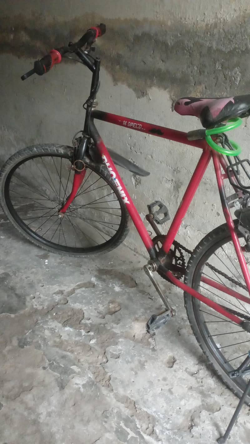 phoenix bicycle 1