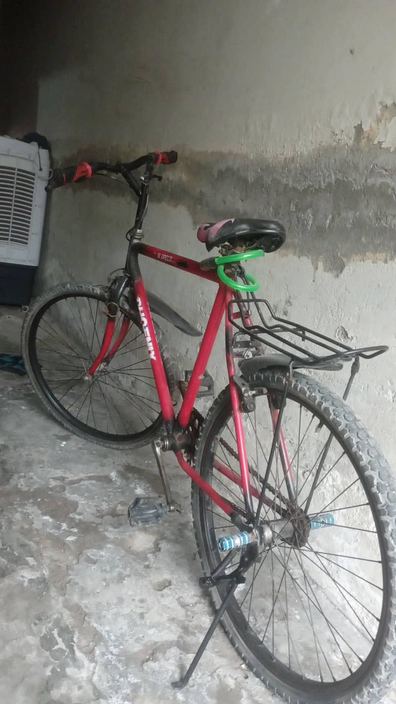 phoenix bicycle 2