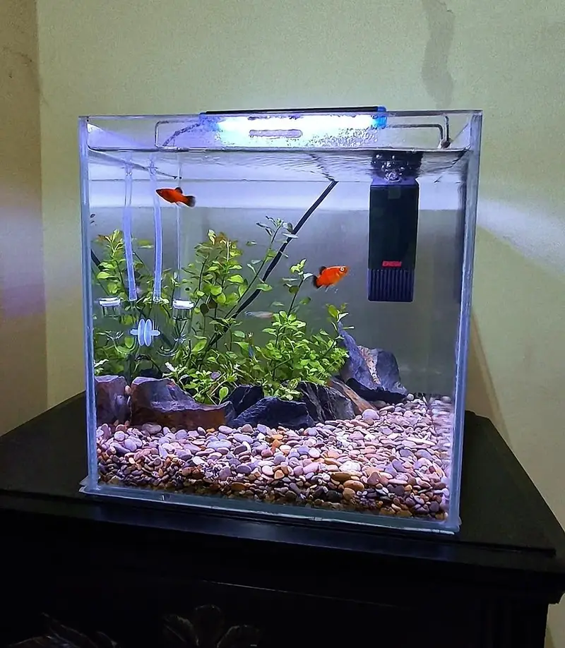 aquarium
