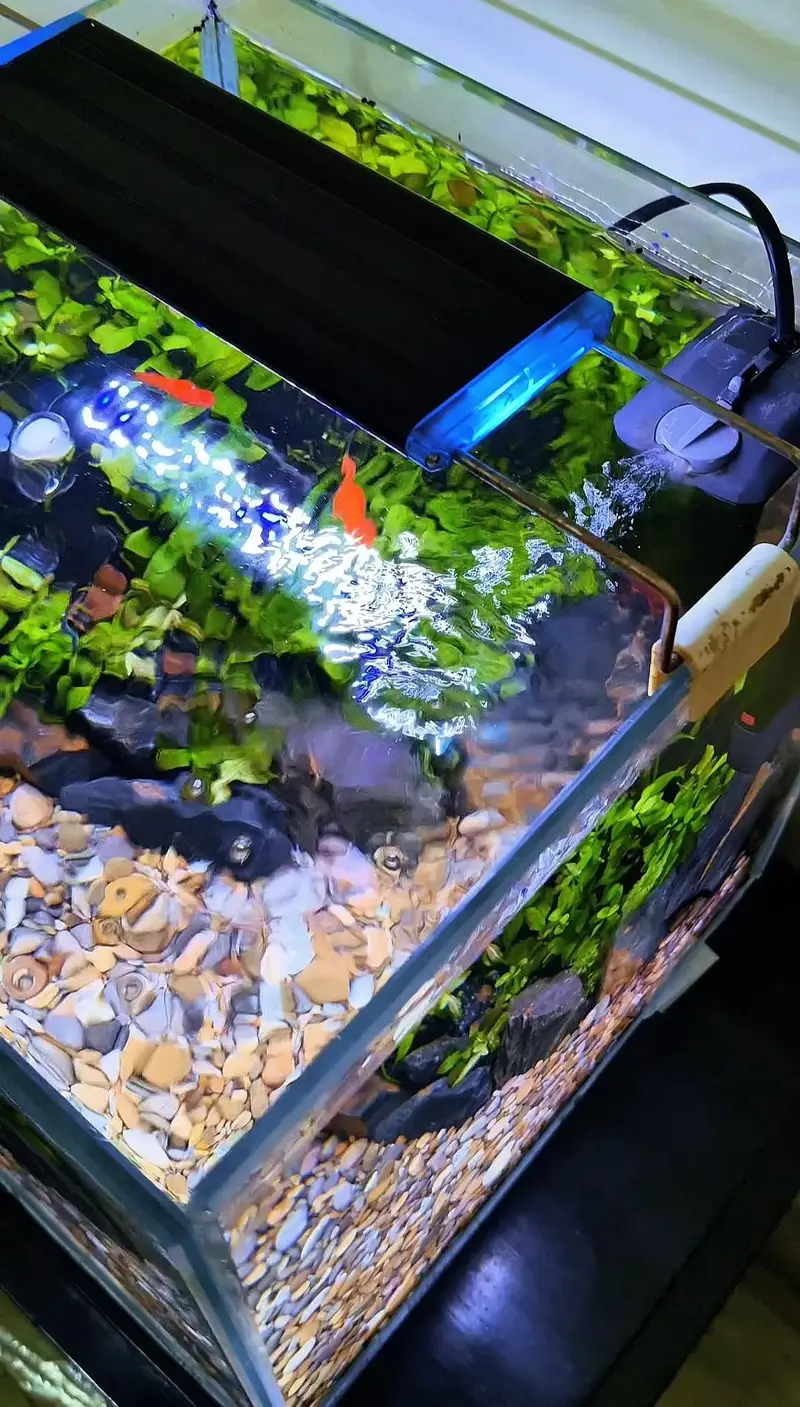 aquarium — photo 2
