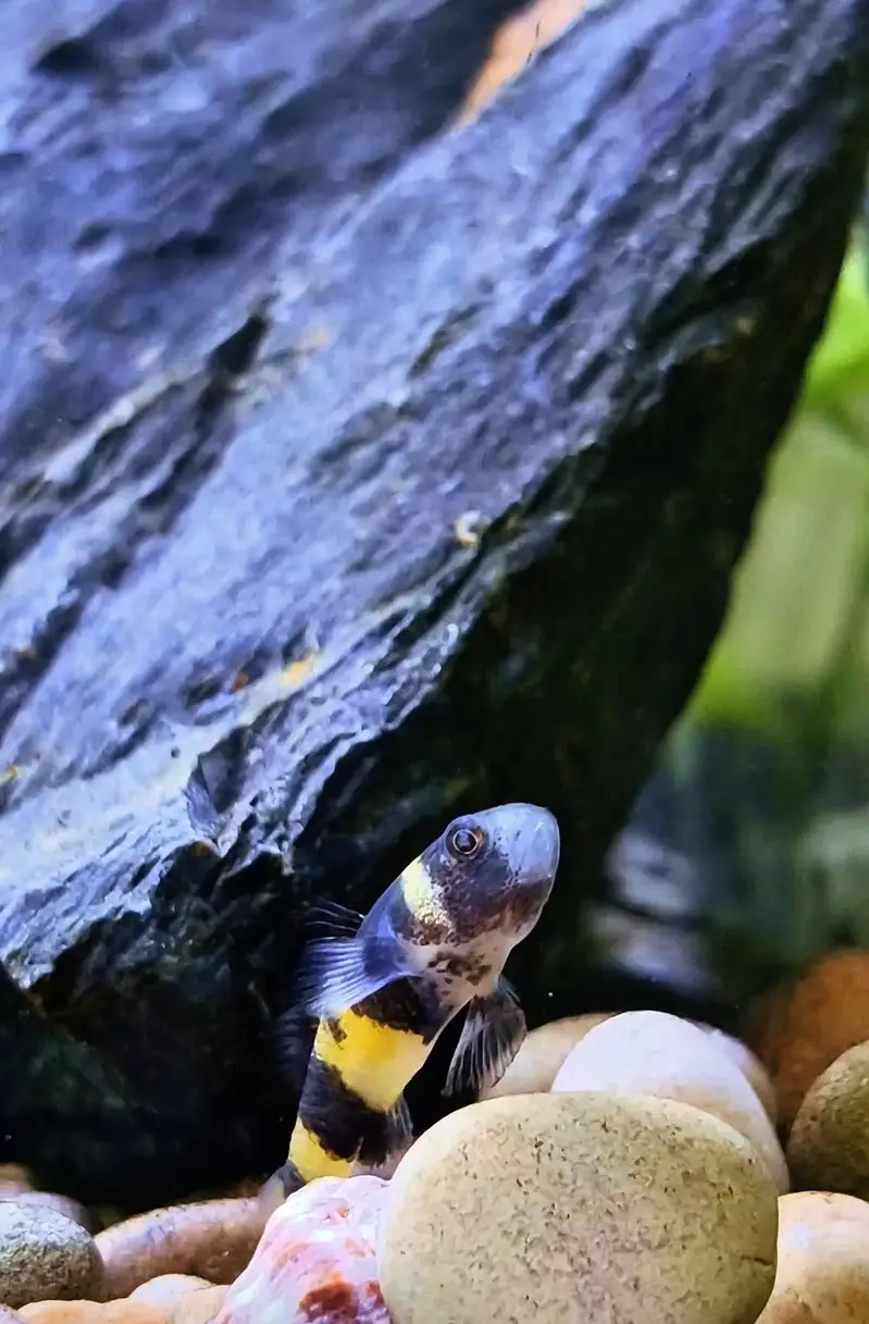 aquarium — photo 3