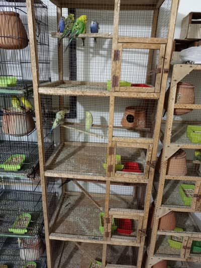 4 portion wooden cage 2 by 1*5