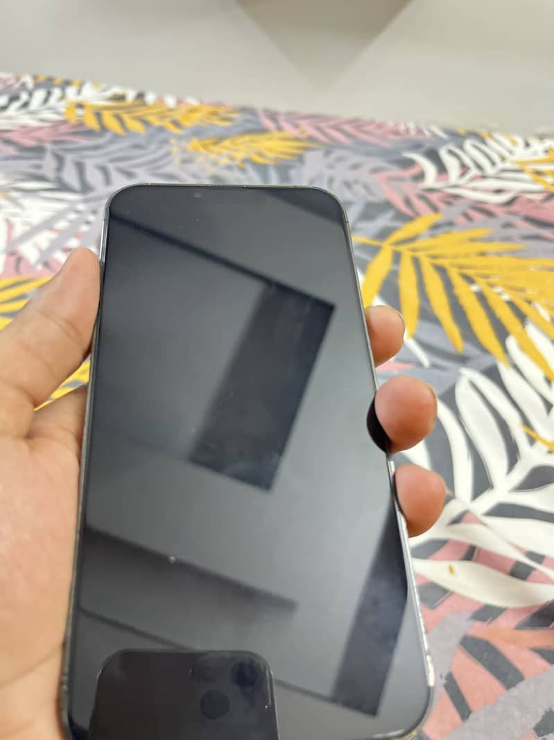 Apple iPhone 13 Pro Max 1
