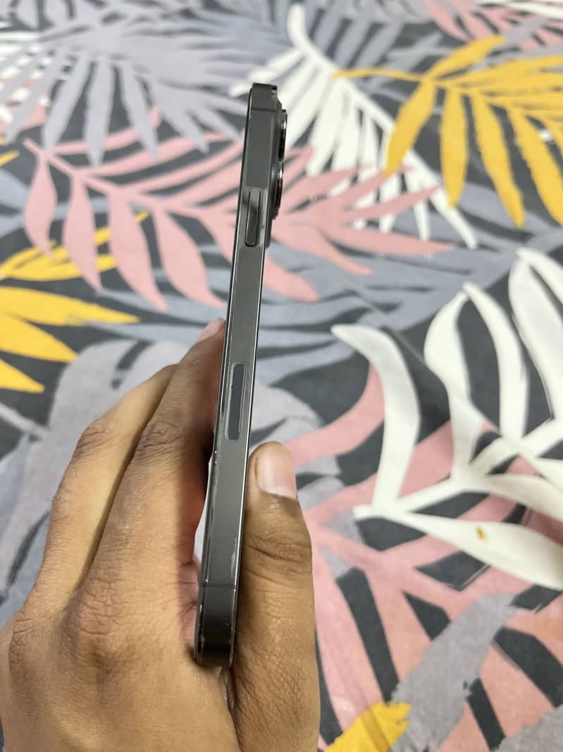 Apple iPhone 13 Pro Max 5