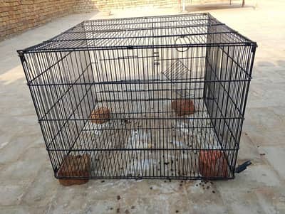 iron cage for sale