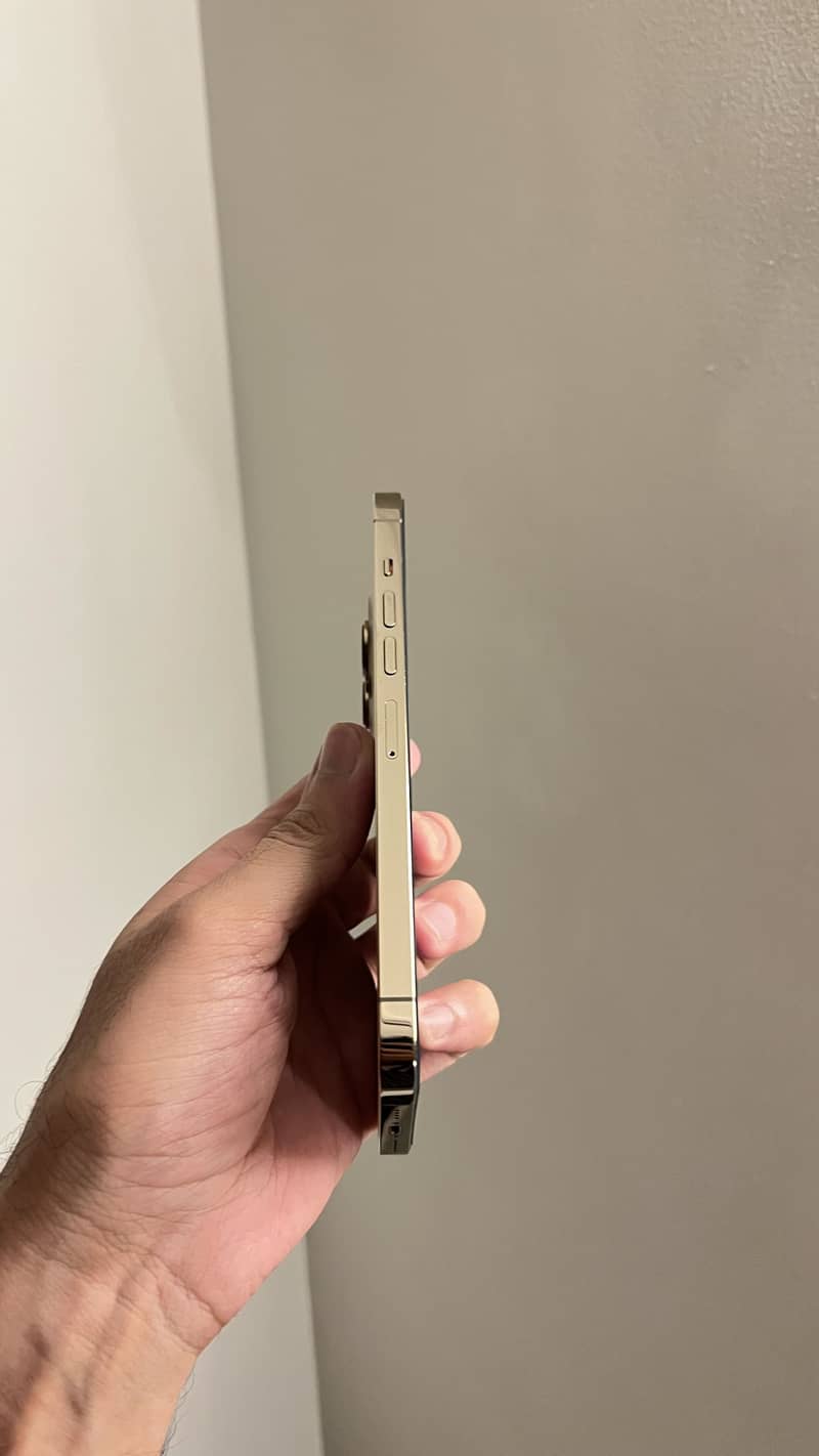 Apple iPhone 13 Pro Max 0