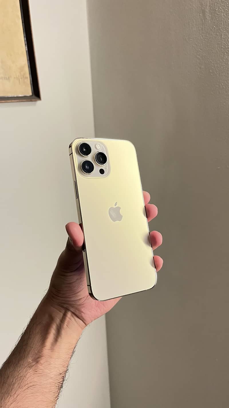 Apple iPhone 13 Pro Max 1