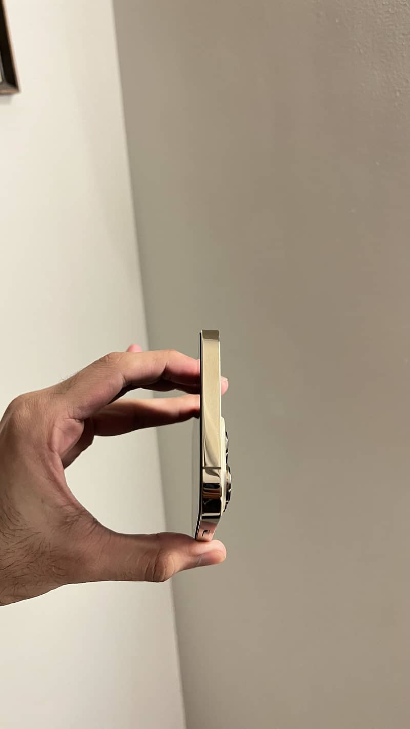 Apple iPhone 13 Pro Max 3