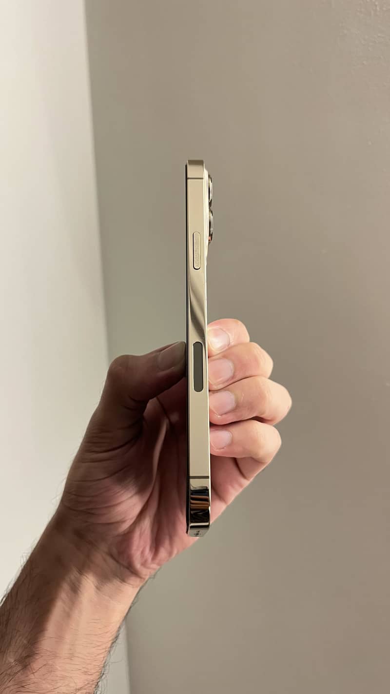 Apple iPhone 13 Pro Max 4