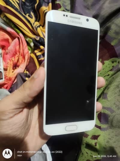 just screen panel
