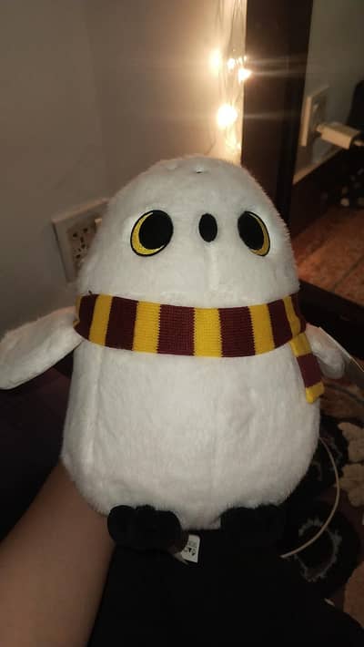 Miniso owl