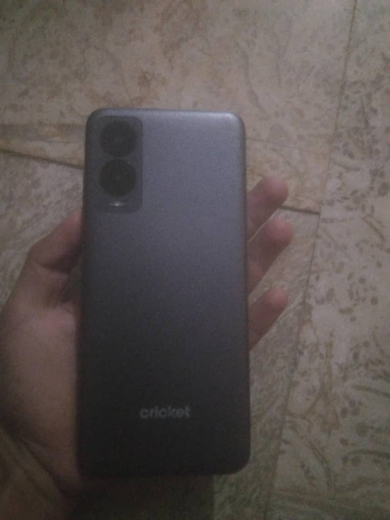 cricket 3