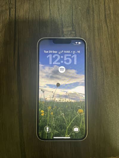 Apple iPhone 13