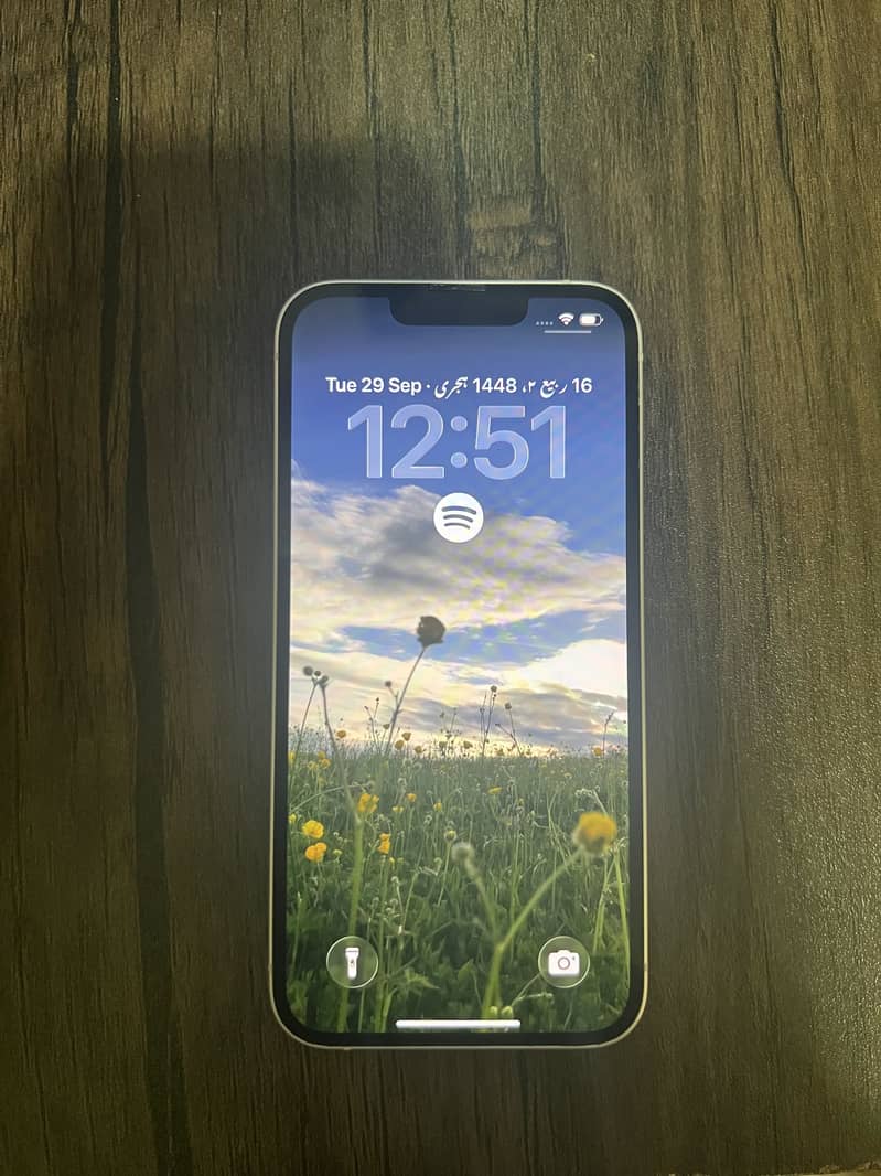 Apple iPhone 13 0