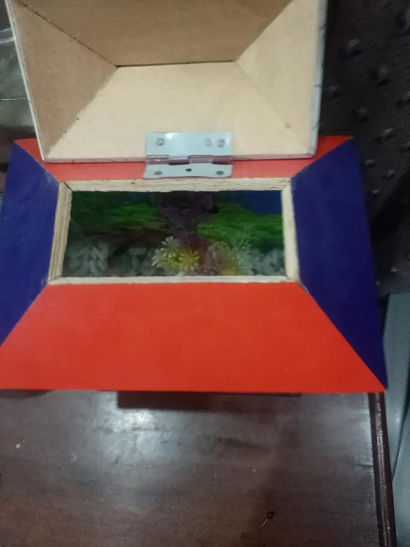 all fishes available — photo 8