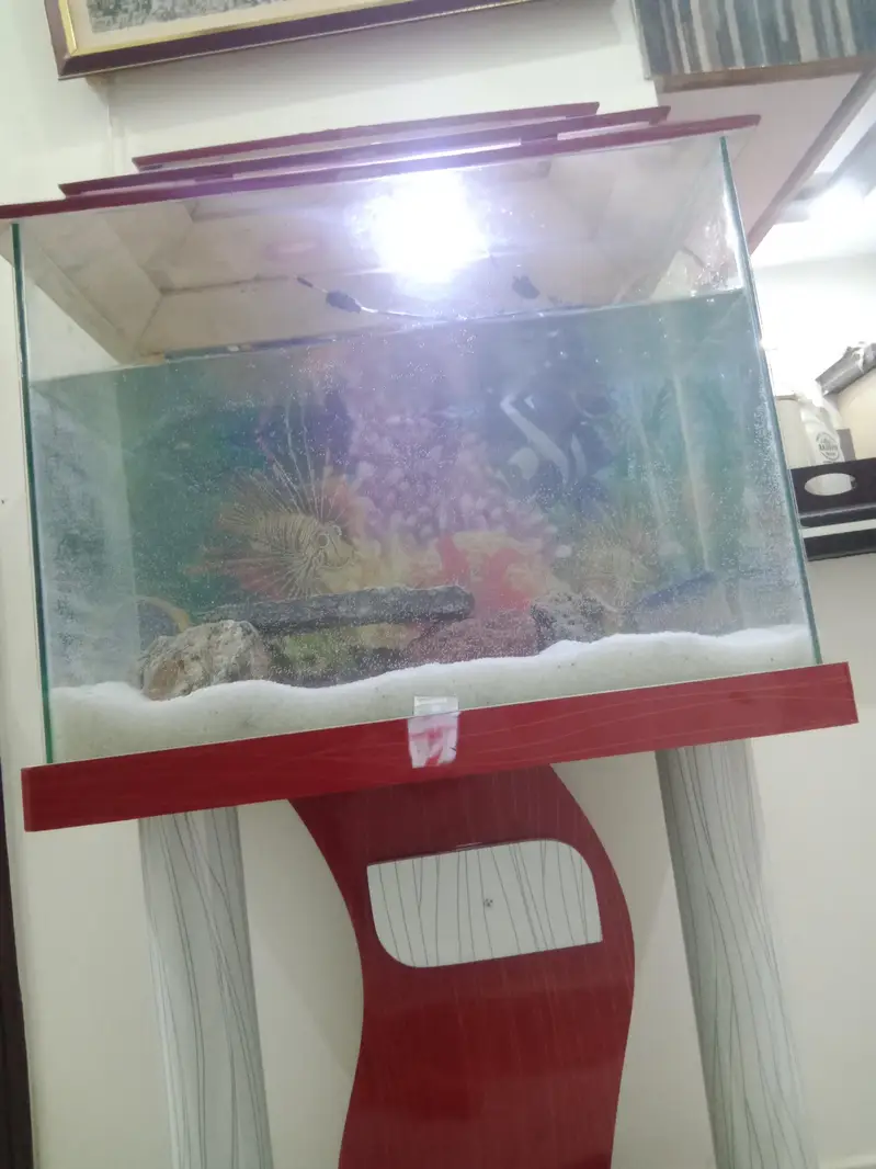 all fishes available — photo 12