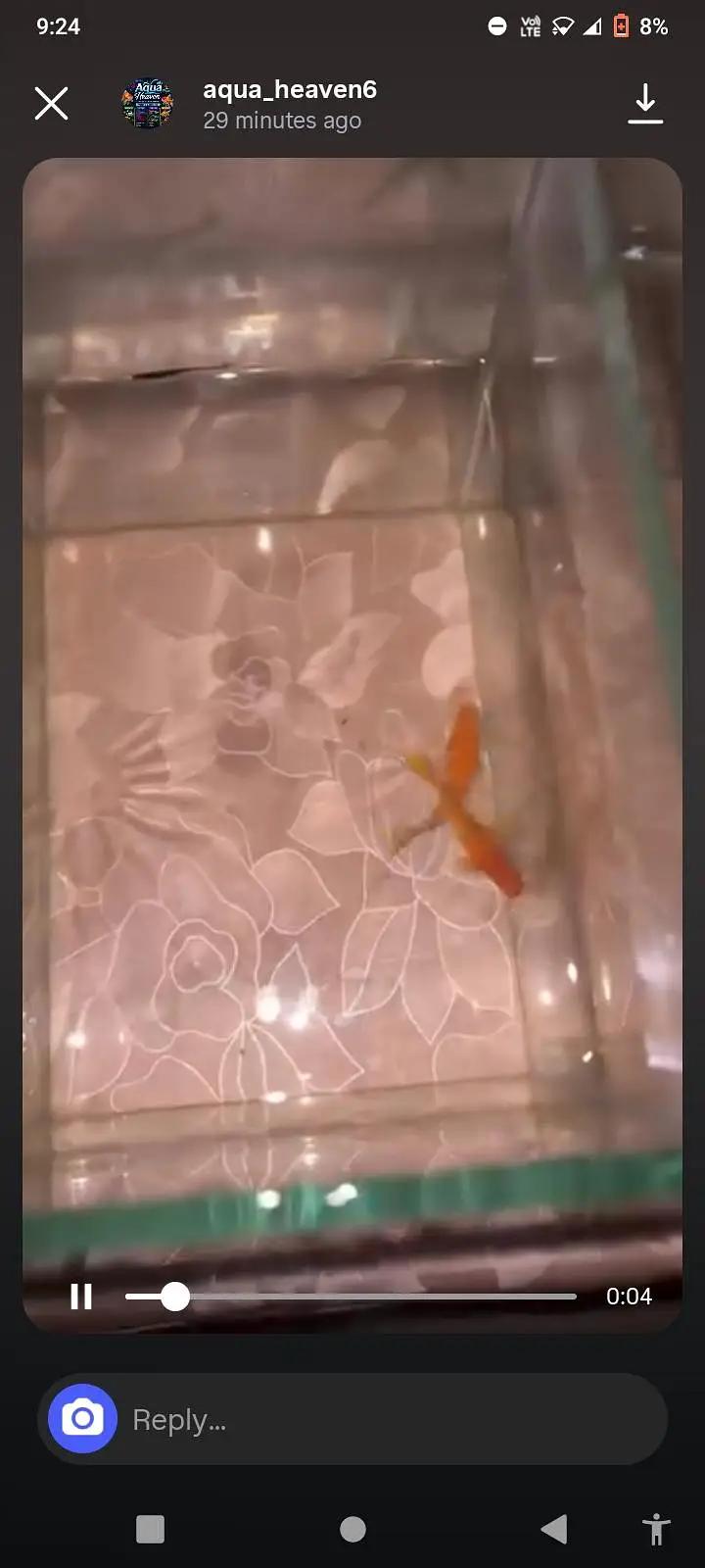 all fishes available — photo 7