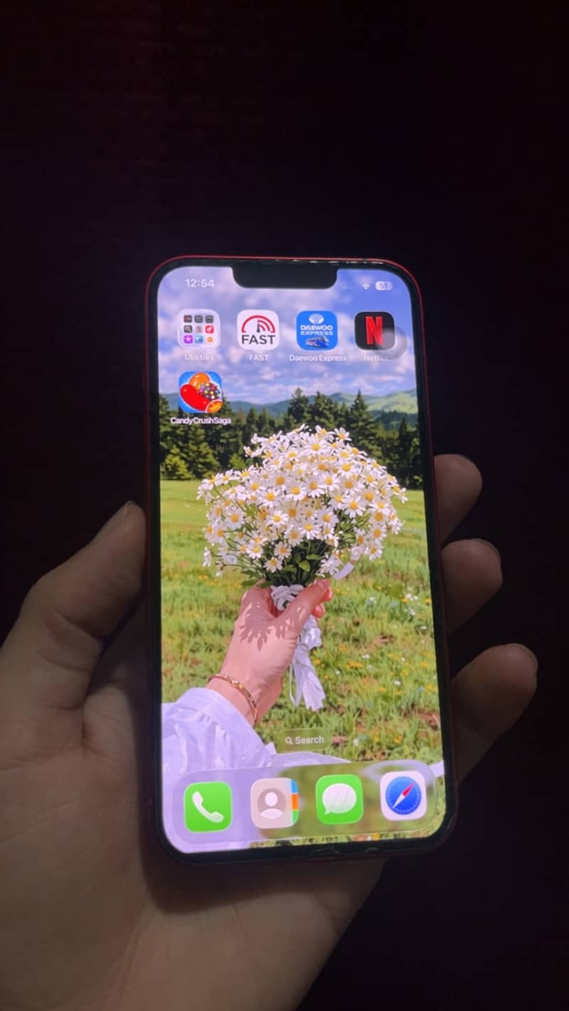 Apple iPhone 13 1