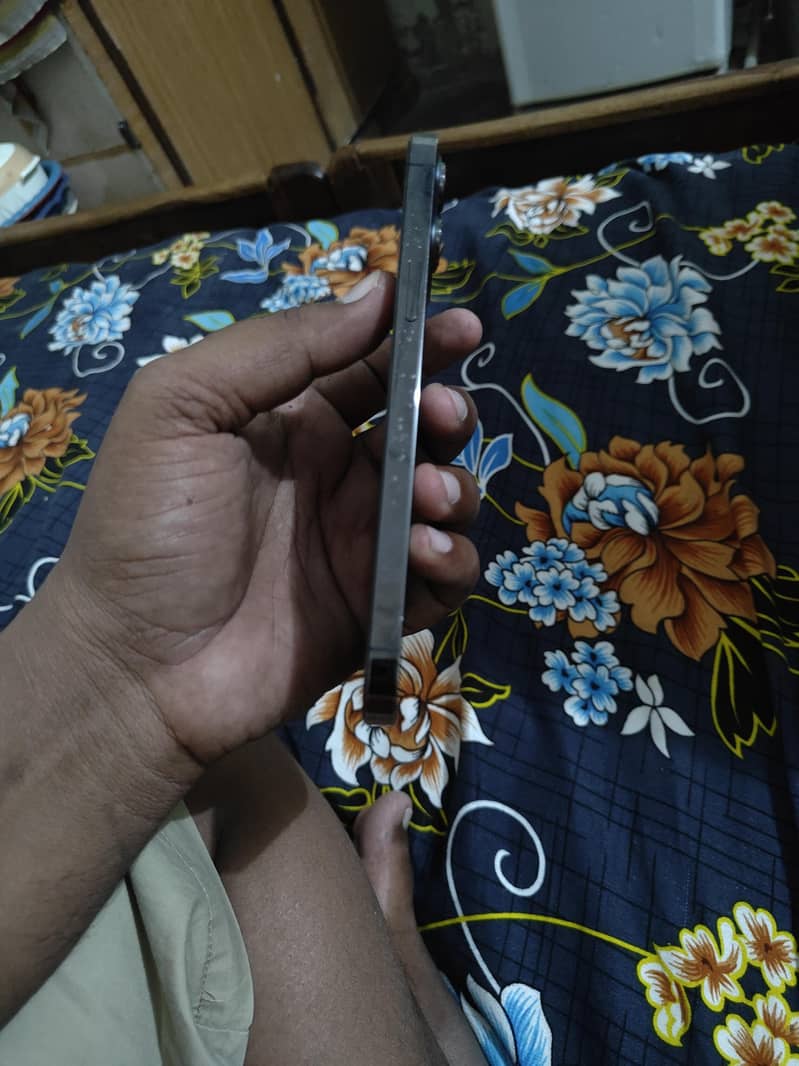 Apple iPhone 12 Pro Max 1