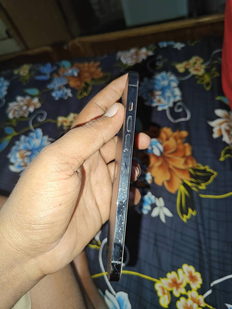 Apple iPhone 12 Pro Max 2