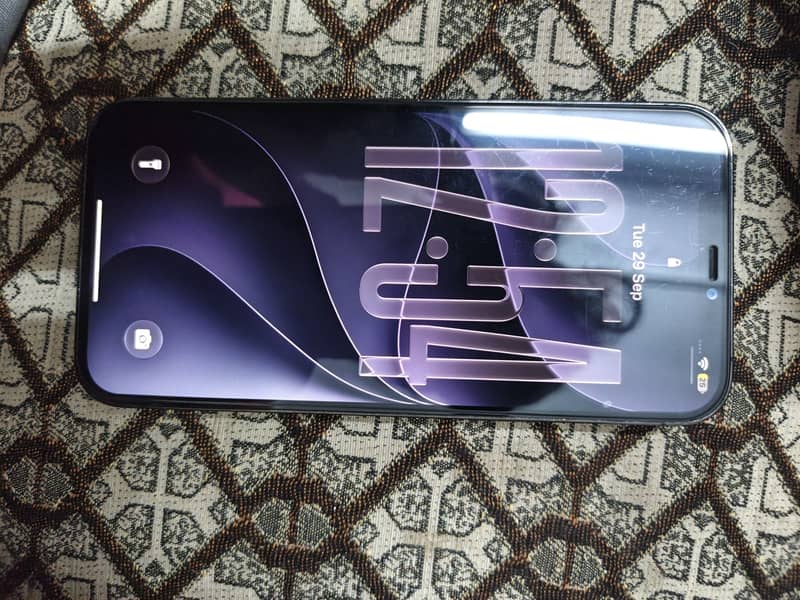 Apple iPhone 12 Pro Max 2