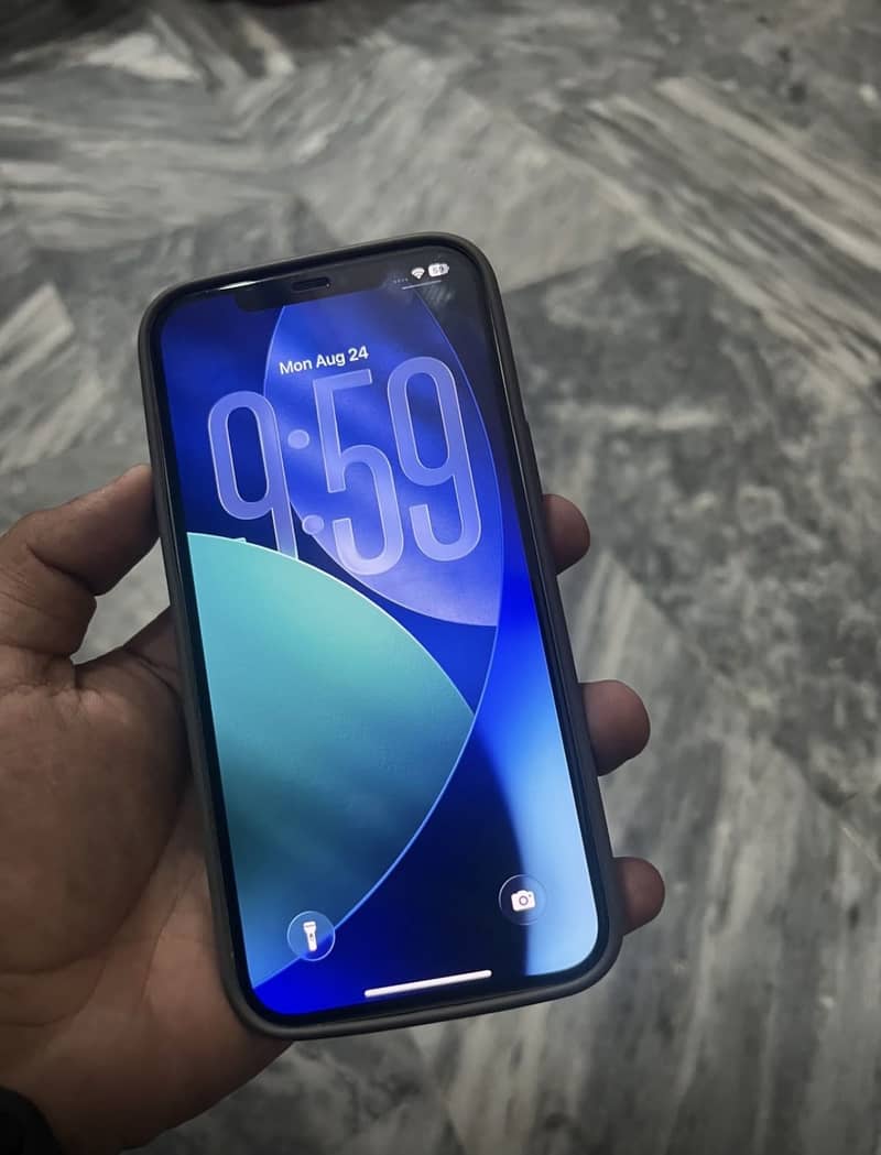 Apple iPhone 12 Pro Max 2