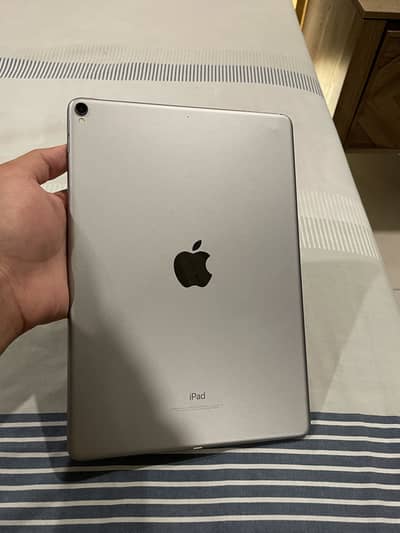 iPad Pro (256 Gb) with Box