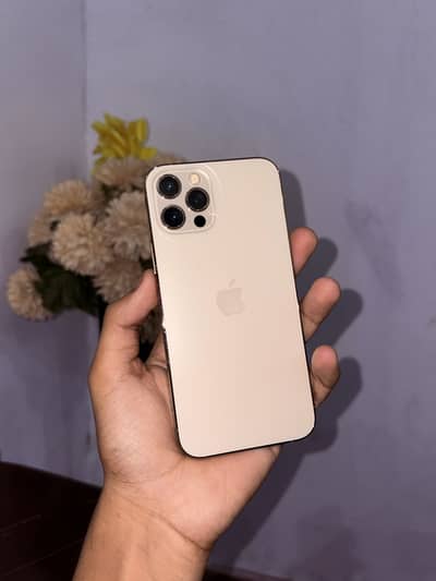 Apple iPhone 12 Pro