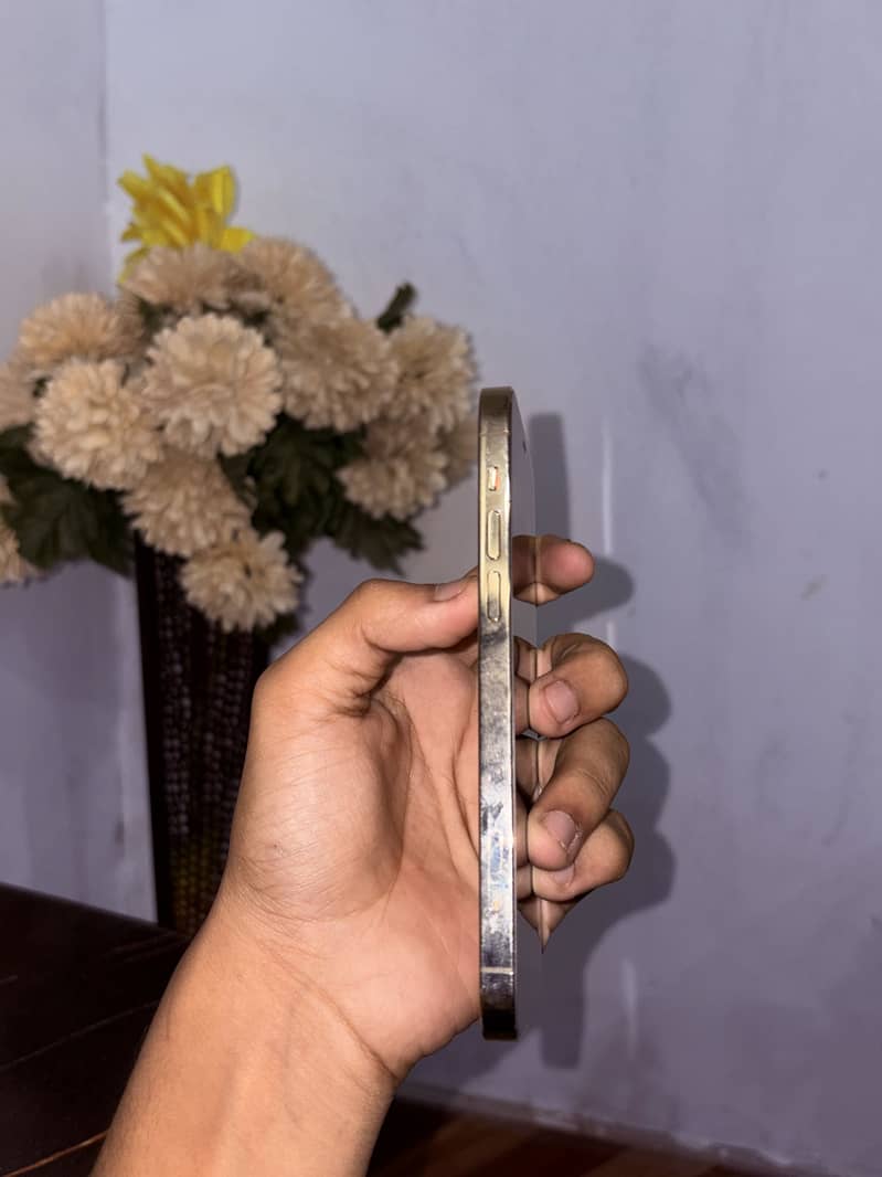 Apple iPhone 12 Pro 1