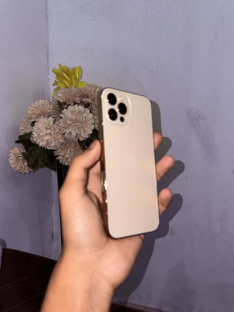Apple iPhone 12 Pro 2