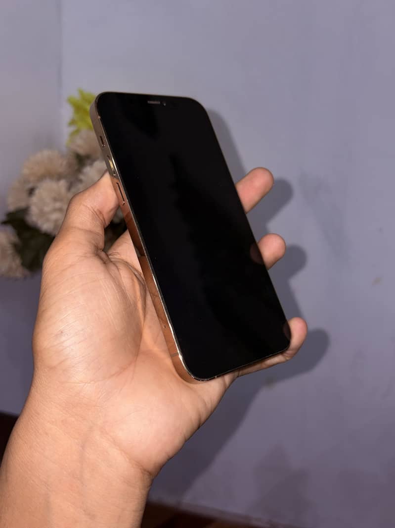 Apple iPhone 12 Pro 3