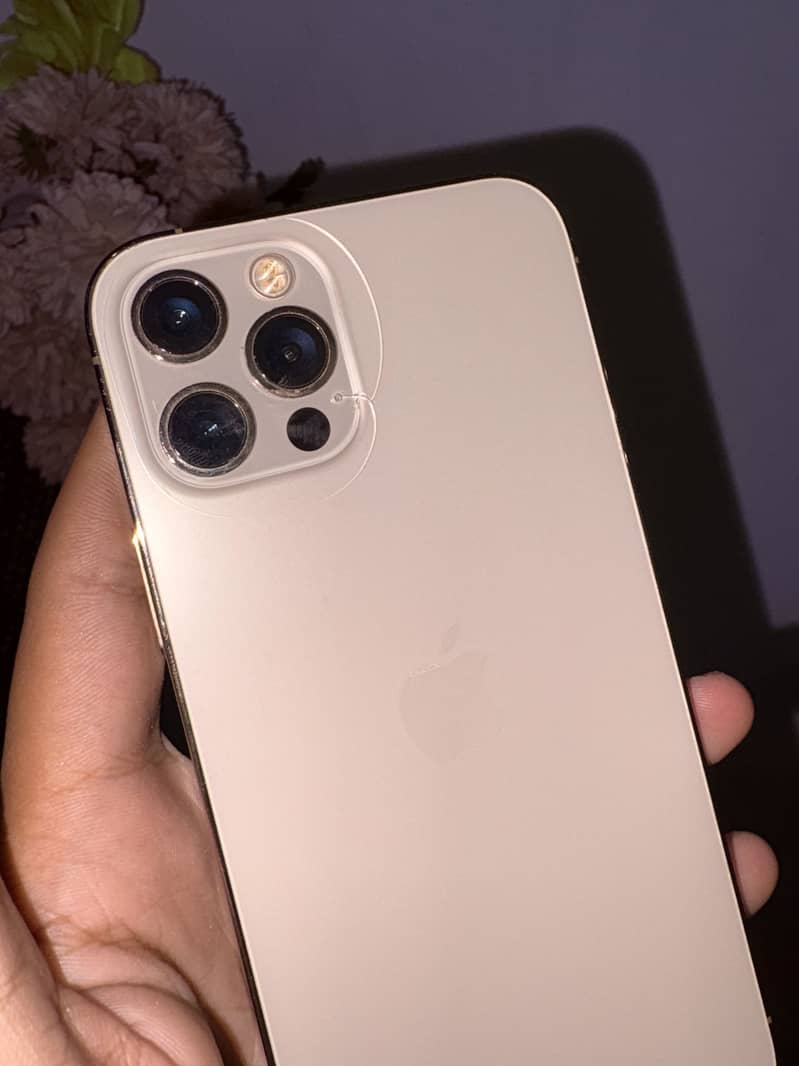 Apple iPhone 12 Pro 4