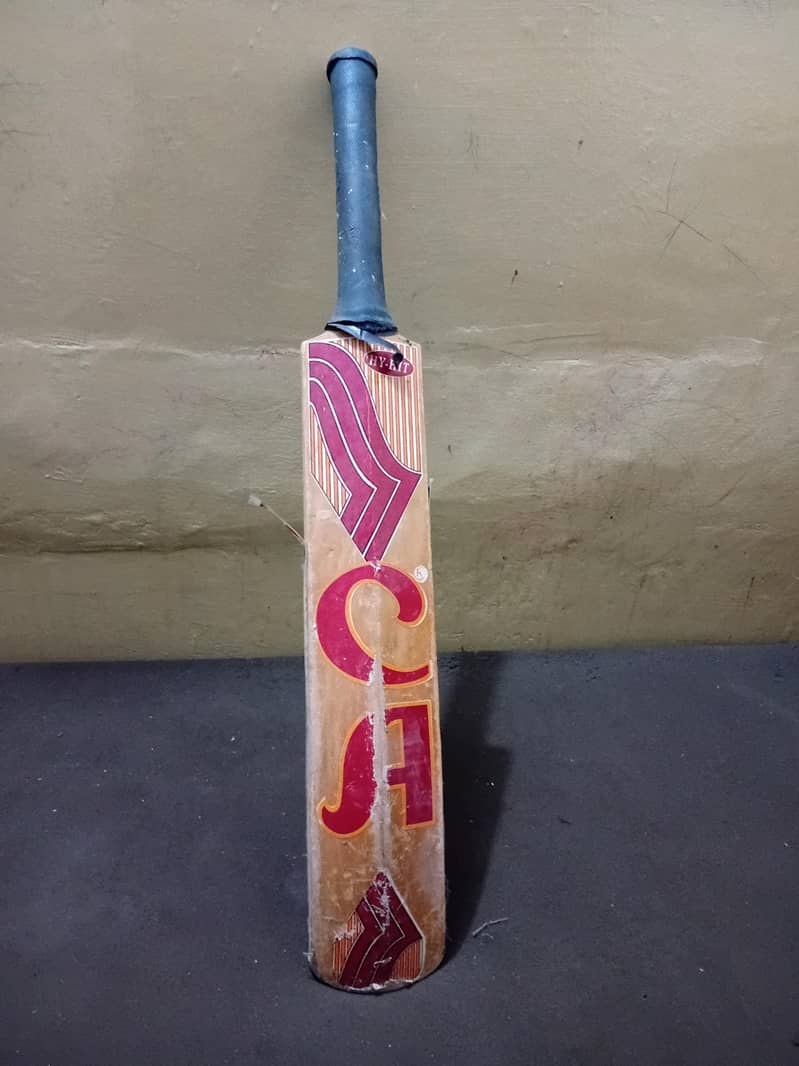 CA old bat 0