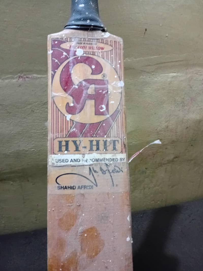 CA old bat 1