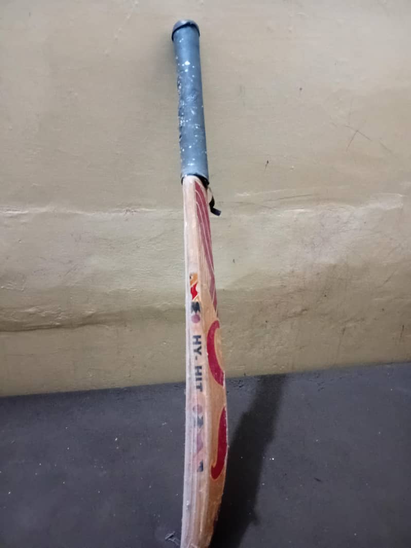 CA old bat 2